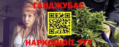 гашик Будённовск