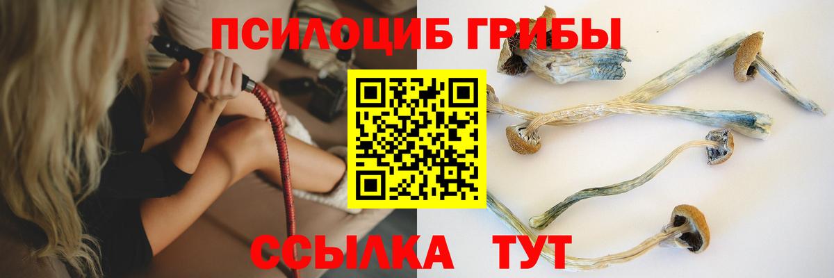 Псилоцибиновые грибы Psilocybe  Вход с VPN  Краснознаменск 